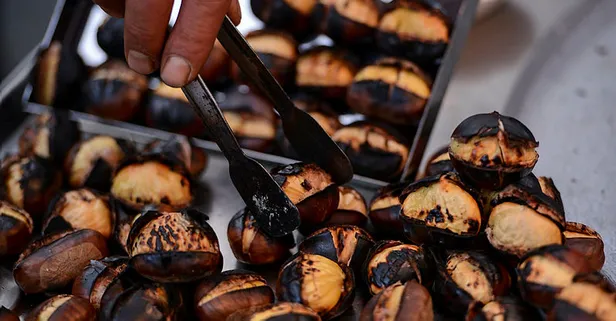 Rüyada kestane görmek ne anlama gelir?