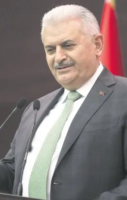 Birleştirici propaganda