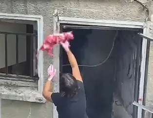 İstanbul Şişli'de kan donduran olay! Ölü kediyi boyayıp evinin demirlerine astı