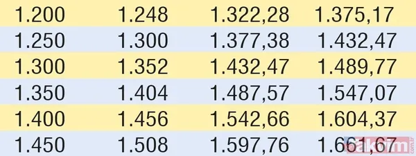 Emeklinin zammı cepte! İşte SSK, Bağ-Kur ve memur emeklilerinin güncel maaşları... - 18