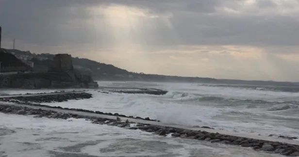 Son dakika: Meteoroloji uyardı! Yarından itibaren dikkat! Kestane karası fırtınası geliyor! Kestane karası fırtınası nedir?-3