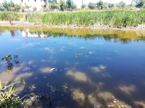 kuraklikla savasan carsamba ovasi nda