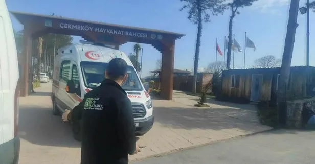 Çekmeköy'de silahlar konuştu! Hayvanat bahçesindeki silahlı kavgada 2 kişi hayatını kaybetti