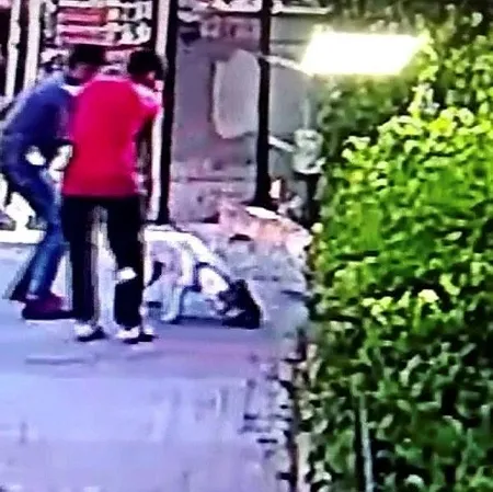 Son dakika: Küçükçekmece'de pitbull dehşeti! Saniyeler içinde parçaladı-3
