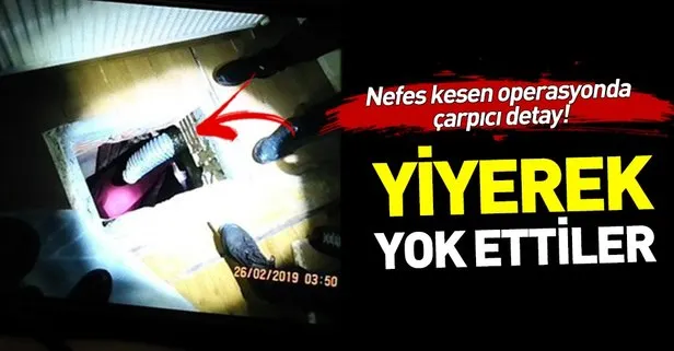 İstanbul’daki DHKP-C operasyonunda çarpıcı detay! ‘Sağır oda’da gizli evrakları yuttular
