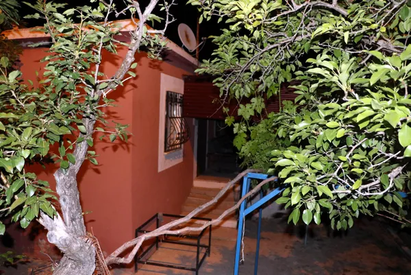 kayserideki-tandir-cinayetinde-kan-donduran-ifadeler-agabeyi-ve-yengesini-bogup-tandira-atmis-1623498976870.jpg Kayseri'deki tandır cinayetinde kan donduran ifadeler! Ağabeyi ve yengesini boğup tandıra atmış-6