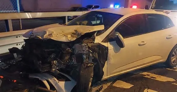 Son dakika: TEM Otoyolu'na giren başıboş sokak köpeği zincirleme kazaya neden oldu: 1'i bebek 12 yaralı