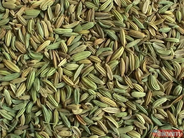 Bu besinler beyin gelişimini destekliyor! İşte iyi gelen o besinlerin listesi... - 24