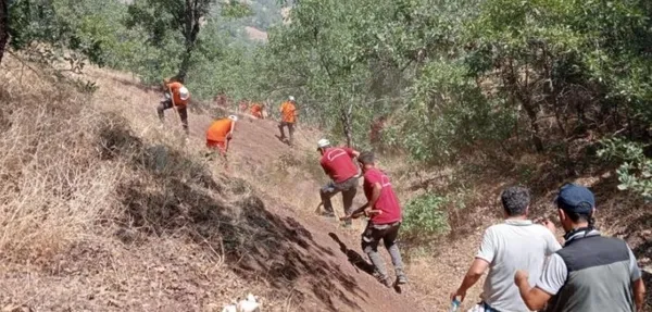 bolu-antalya-bingol-ve-eskisehirde-yangin-dort-ilde-alevlere-havadan-ve-karadan-mudahale-suruyor-1692120061919.jpeg Çok sayıda ilde yangın! Alevlere havadan ve karadan müdahale sürüyor-8