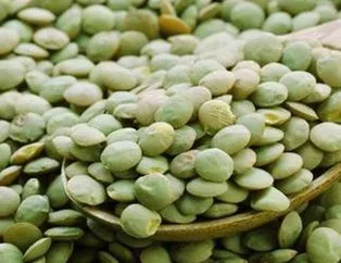 Sağlığın şifresi yeşil mercimek