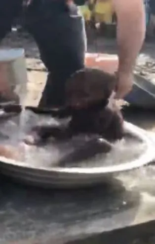 Afrikalı çocuğun su sevinci duygulandırdı