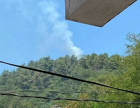 İstanbul’da ormanlık alanda yangın