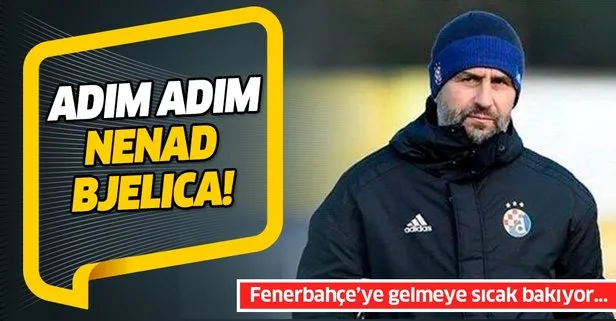 Adım adım Bjelica! Fenerbahçe’ye gelmek için yeşil ışık yaktı...
