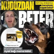 Kim bu Ankara’yı karıştan ’köpekvelisi’? Karantinayı deldi ’peygamberler şehri’ne hakaret etti: Büyüyen kuduz tehlikesi, ayak bağı mama lobisi