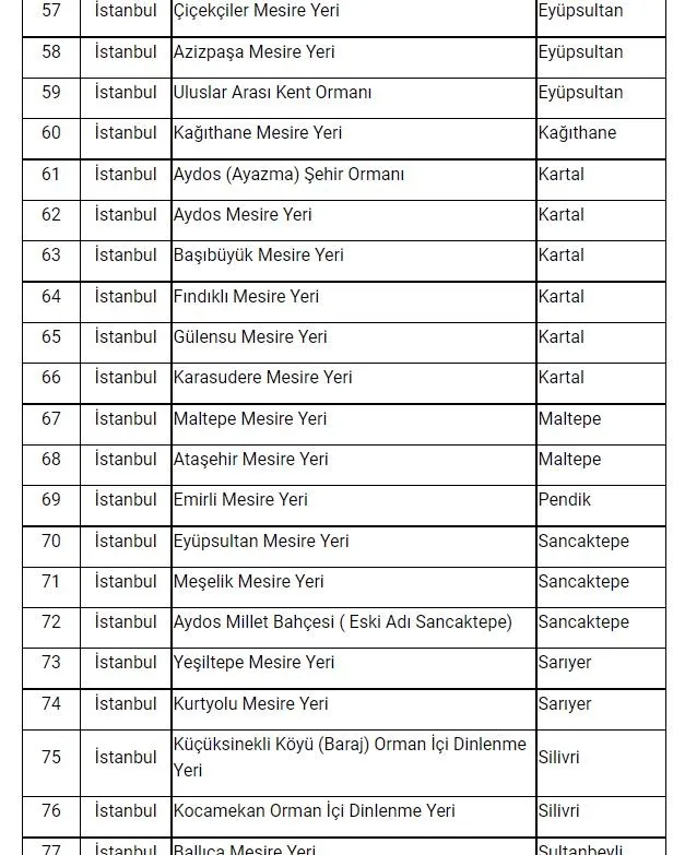 Son dakika: İstanbul'da ormanlara giriş yasağı! Vali Yerlikaya duyurdu: Ormanlara giriş yasağı 31 Temmuz'a kadar sürecek! İşte mangal yapmanın yasak olduğu yerler...-11