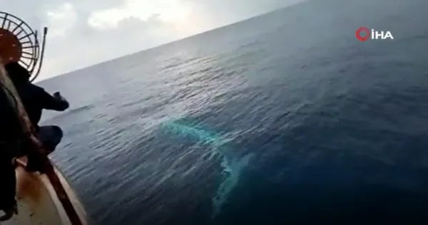 balik-avlamak-icin-15-km-acildi-15-metre-uzunlugunda-fin-balinasi-goruntuledi-1612860234026.jpg Balık avlamak için 15 km açıldı! 15 metre uzunluğunda Fin balinası görüntüledi-4