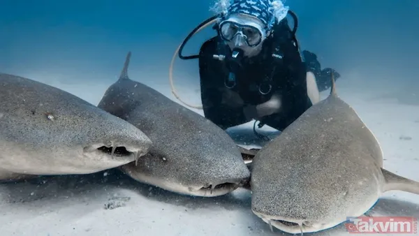 Mavi bir göl mü? Kimse ilk bakışta anlamıyor! Bu görüntü aslında ölümcül bir gerçeği saklıyor… - 3