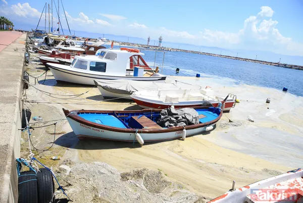 SON DAKİKA: Marmara Denizi'ndeki müsilajın (deniz salyası) son durumu İTÜ UHUZAM uyduları tarafından görüntülendi - 17