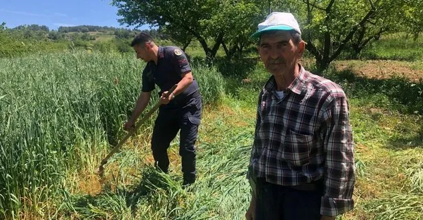 Bilecik’te tarlada yorulan yaşlı çiftçinin yardımına jandarma koştu