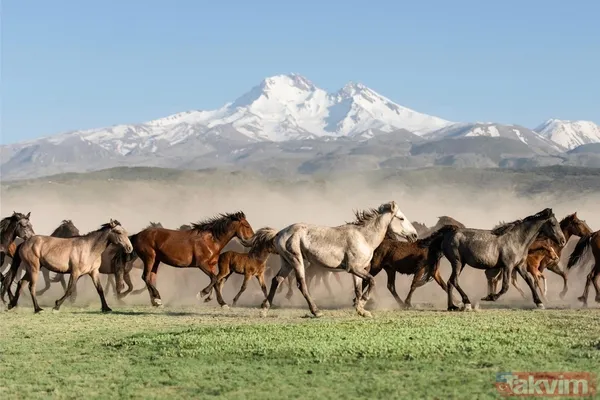 Kayseri ilk kez Kültür Yolu'nda! Sanat müzik ve lezzet şöleni - 2