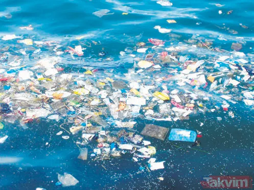 Burak Öymen'in eşi dünyaca ünlü çek model Tereza Maxova Bodrum'da gördüklerine inanamadı! “Bunu kendi ülkenize..." - 11