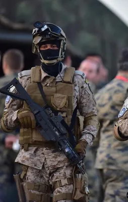 TSK'dan dev operasyon!