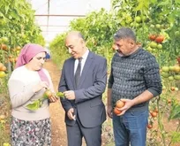 ŞOK Marketler’den pestisit hamlesi! Taze meyve-sebze 30 dakikada analiz edilecek