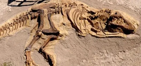 Fransız paleontologlar, Türkiye'de ilk kez dinozorların ortaya çıkmasından önce yaşamış 280 milyon yaşında bir kertenkelenin izlerini keşfetti