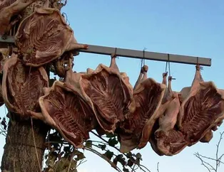Kaz nasıl yapılır? Kaz etinin faydaları nelerdir? İşte kaz eti tarifi!