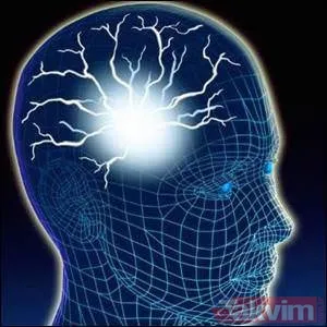 Kadının Beyni, Vücudunun Toplam Ağırlığının Yüzde 2′İ Kadardır. Kadın Beyninde Mesajlar, Spinal (Omurga-Bel Kemiği) Sinirlere Saatte 432 Kilometre Hızla...