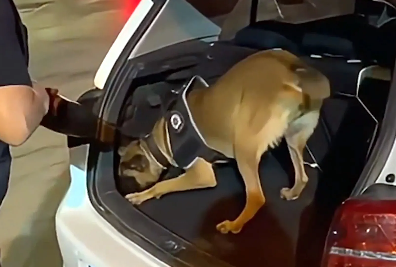 Zehir tacirlerine büyük darbe: 1811 gözaltı