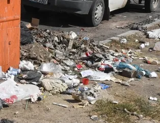 CHP'li İzmir Belediyesi'nde çöp sorunu bitmek bilmiyor! Esnaf fare kovaladı...