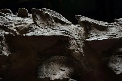 110 milyon yıllık ’ejderha’ bulundu