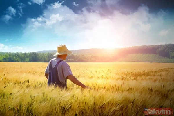 "Tarım öldü" diyenleri ters köşe yapacak rakamlar! Bakanlık sağladığı desteklerle organik üretim ve tüketimi artırıyor - 4