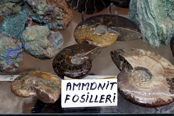 Kolye yapmak için dağda dolaşırken buldu! Tam 500 yıllık!-6