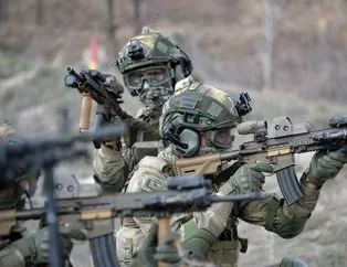 Mehmetçik gördüğü yerde avlıyor!