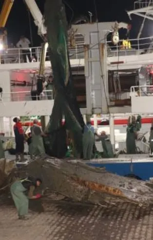 Düzce'nin Akçakoca ilçesi açıklarında balıkçıların ağına uçak parçaları takıldı