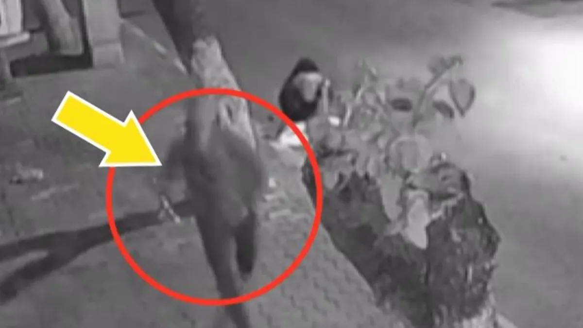 İzmir’de takıntılı komşu genç kıza dehşeti yaşattı! Sokakta yürürken takip edip böyle saldırdı