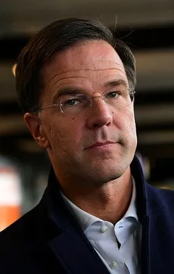 Hollanda Başbakanı itlerini tebrik etti