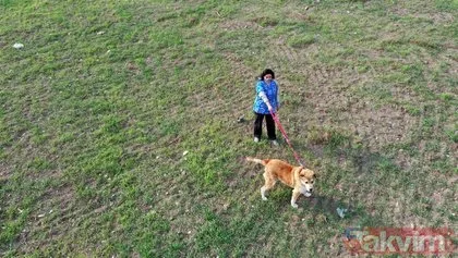 Aydın’da sokakta perişan halde bulunan köpek 14 kilodan 65 kiloya çıktı