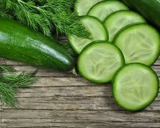 Zam şampiyonu salatalık