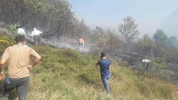 kastamonuda-cikan-orman-yangini-bakanlik-ve-koylulerin-isbirligiyle-kontrol-altina-alindi-1596824121508.jpg Kastamonu'da çıkan orman yangını, bakanlık ve köylülerin işbirliğiyle kontrol altına alındı-3