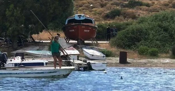 Denizde vahşet: Köpek balığına adeta işkence ettiler! Yer: Bodrum