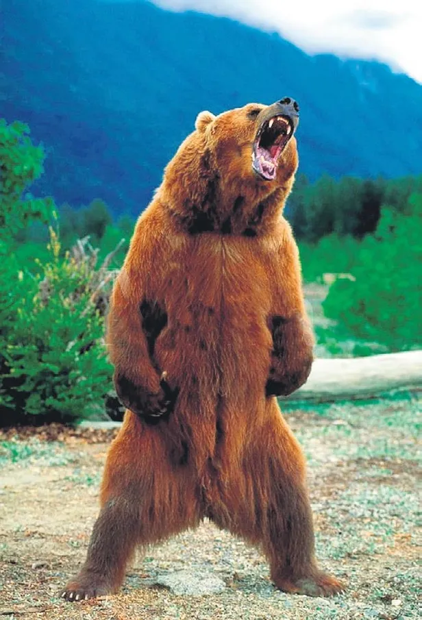 fen-bilimleri-dershanelerinin-kurucusu-nazmi-arikan-citliginde-ugradigi-bicakli-saldiri-sonucu-hayatini-kaybet-1657747251085.jpeg Fen Bilimleri Dershaneleri'nin kurucusu Nazmı Arıkan çitliğinde uğradığı bıçaklı saldırı sonucu hayatını kaybetti-11