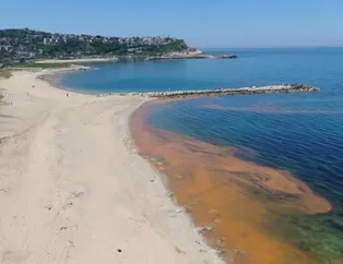 Karadeniz’deki renk değişiminin sırrı çözüldü