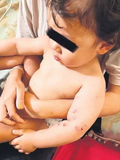 Fransız Akira- Janing Takahaski çifti İstanbul'da faciayı yaşadı! Hukuk savaşı başlattılar-1