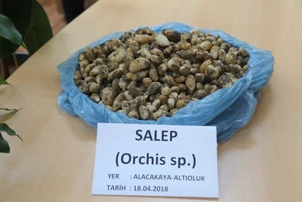 6 kilo salep soğanına 48 bin 625 lira ceza!-2