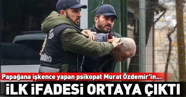Papağana işkence yapan psikopat Murat Özdemir’in ilk ifadesi ortaya çıktı