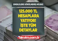125.000 TL hesaplara yatıyor! SGK-SSK ve Bağkurlu emeklilere görülmemiş müjde verildi! İşte tüm detaylar