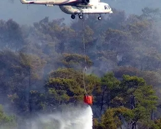Milas’ta orman yangını
